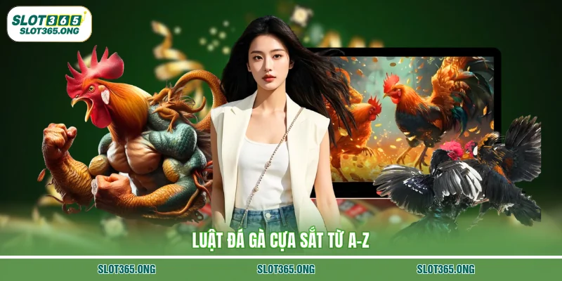 Luật đá gà cựa sắt từ A-Z