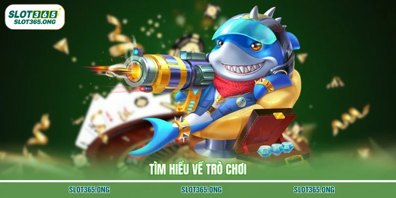 Tìm hiểu về trò chơi